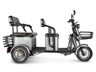 Электротрицикл Rutrike Экипаж