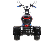 Электротрицикл SKYBOARD Irtysh TRIKE BR40-3000 PRO FAST OFF-ROAD