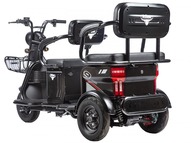 Электротрицикл Rutrike Трансформер