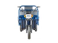 Электротрицикл Rutrike D2 1500 60V1000W LUX