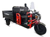 Электротрицикл WHITE SIBERIA SIBTRIKE CARGO 1.8