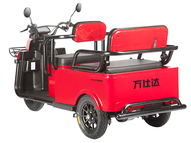 Электротрицикл Wanshida LC-F200 60V 1000Вт (серый)