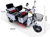 Электротрицикл E-trike Pass Cargo