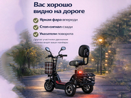 Электротрицикл TRION Partner MX 12 (36V / 15AH)