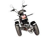 Электротрицикл SKYBOARD Elbrus Chopper-4000 Harrow
