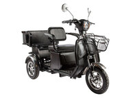 Электротрицикл ELTRECO S2 L1