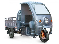 Rutrike Глобус 1500 60V1000W