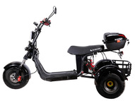 Электротрицикл SKYBOARD TRIKE BR40-3000 PRO