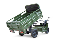 Электротрицикл Rutrike D4 Next PRO 1800 72V1500W