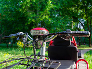 Электротрицикл Elbike Адъютант Double A3