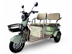 GreenCamel Пони Z8 V2 (72V 1000W), зеленый