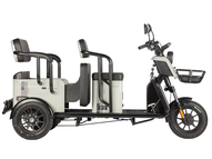 Электротрицикл Wanshida LC300 60V 1000Вт (черный)