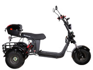 Электротрицикл SKYBOARD TRIKE BR40-3000 PRO