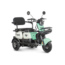 Rutrike Gelbert Vega 48V/60V (зеленый)