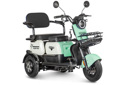Rutrike Gelbert Vega 48V/60V (зеленый)