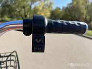 Электротрицикл TRION Transporter DUAL (серый)