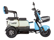 Электротрицикл Rutrike Gelbert Vega 48V/60V 600Вт (голубой)
