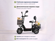 Электротрицикл TRION Partner MX 12 (36V / 15AH)