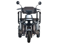 Электротрицикл Wanshida U1-X 60V 800Вт
