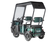 Электротрицикл Wanshida NIPLA 500 60V 1000Вт (зеленый)