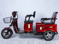 Электротрицикл E-trike Pass Cargo