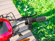 Электротрицикл Elbike Адъютант Double Twix A4