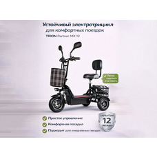 TRION Partner MX 12 (36V / 15AH)