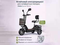 TRION Partner MX 12 (36V / 15AH)