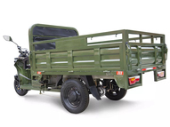 Электротрицикл Rutrike D4 Next 1800 60V1500W