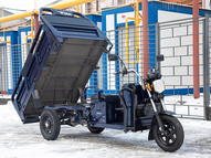 Электротрицикл Rutrike D4 1800 60V1500W