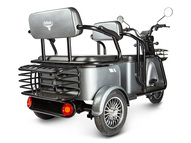 Электротрицикл Rutrike Экипаж