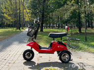 Электротрицикл TRION Partner NOVA PRO