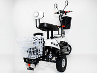 Электротрицикл EL-Sport SF8 Maxi 500W