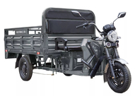 Электротрицикл Rutrike D4 Next 1800 60V1500W