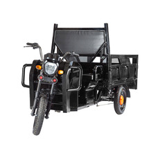 ELTRECO D3 60V 1000W с тентом
