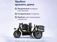 Электротрицикл TRION Partner MX 12 (36V / 15AH)