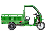 Электротрицикл Rutrike Гермес 1500 60V1200W
