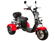 Электротрицикл SKYBOARD TRIKE BR60-3000 PRO