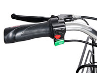 Электротрицикл Transporter 600W 48V