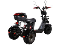 Электротрицикл SKYBOARD TRIKE BR40-3000 PRO