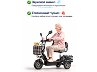 Электротрицикл TRION Partner MX 12 (36V / 15AH)