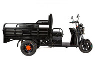 Электротрицикл Rutrike D2 1500 60V1000W