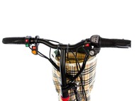 Электротрицикл E-motions HandyTrike v3