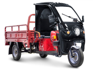 Электротрицикл Rutrike D4 КАБИНА 1800 60V1500W
