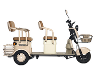 Электротрицикл Rutrike Атлас 48V/60V 600Вт