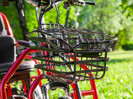 Электротрицикл Elbike Адъютант Double A3