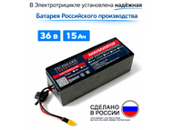 Электротрицикл TRION Partner MX 12 (36V / 15AH)