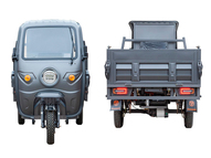 Электротрицикл Rutrike D5 КАБИНА гидравлика 1700 60V1200W