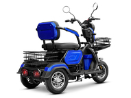 Электротрицикл TRION COMPASS 1000W (Синий)