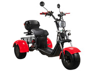 Электротрицикл SKYBOARD TRIKE BR40-3000 PRO FAST